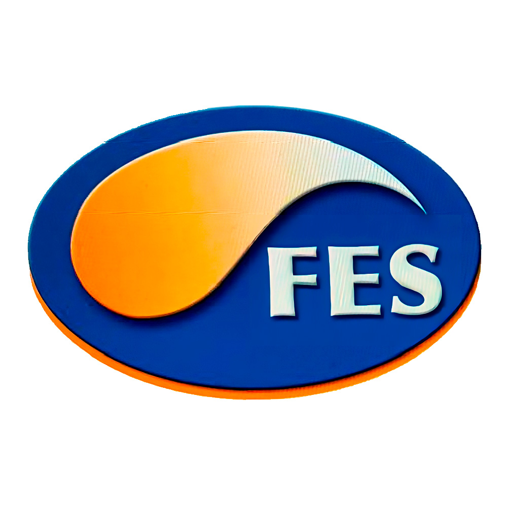 FES