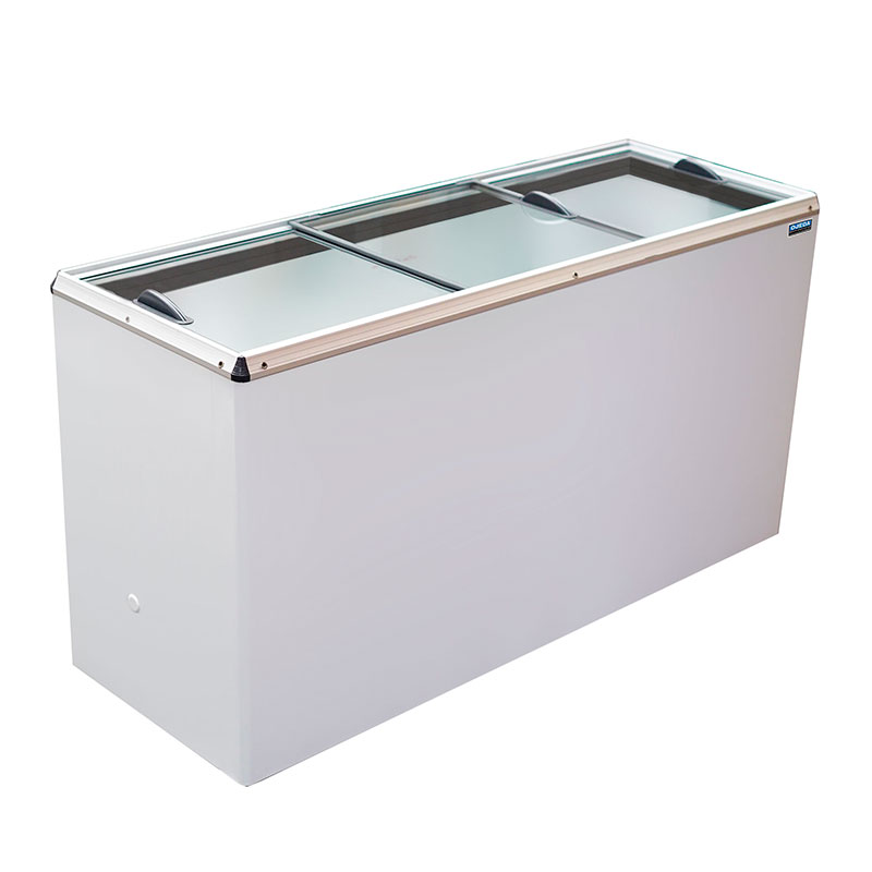 Congelador CHEP-170-g2